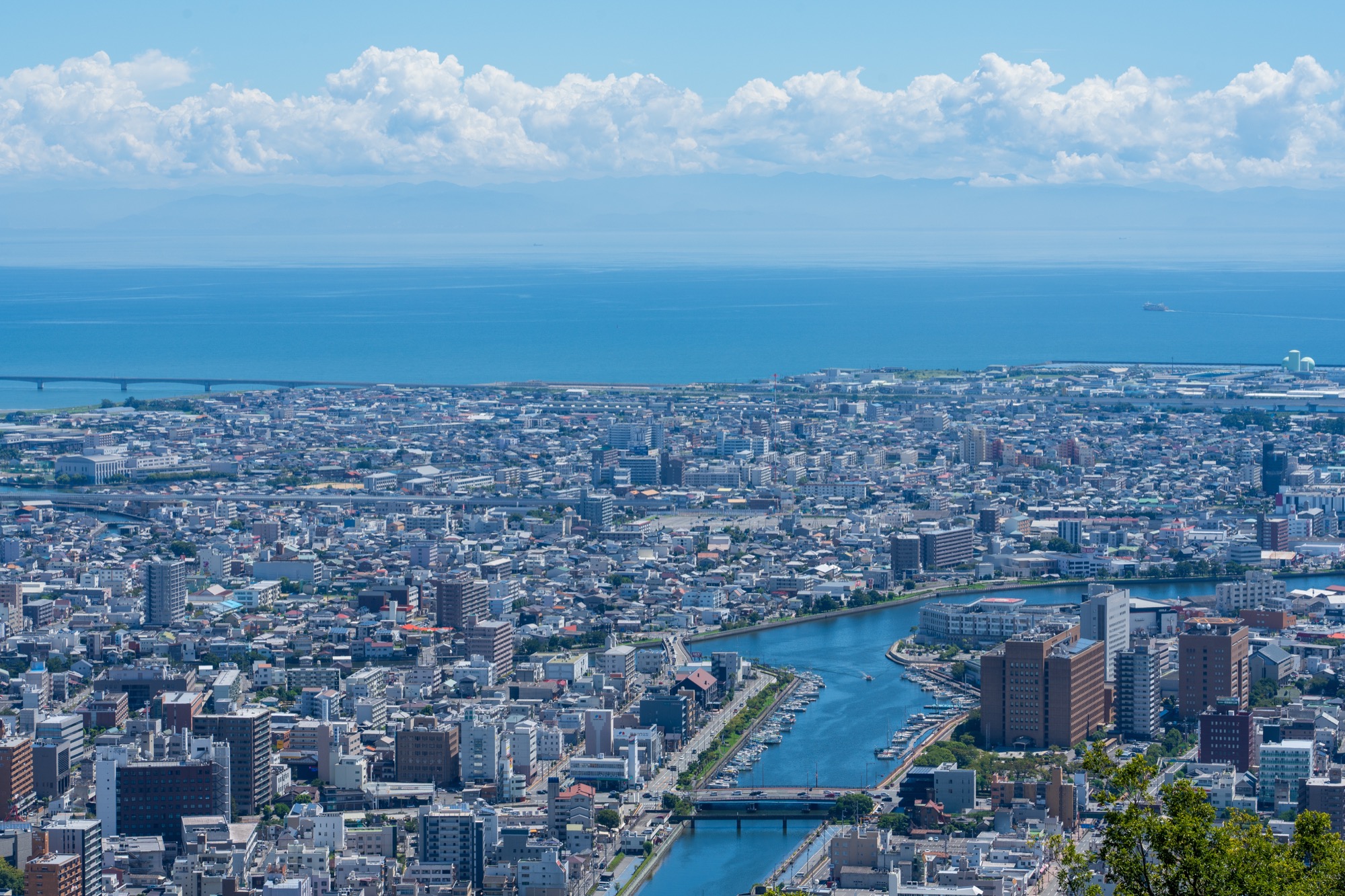 眉山から見た徳島市中心部と海