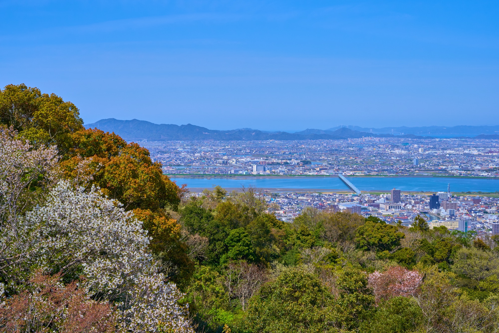 眉山から徳島市北部・吉野川沿岸地域を眺めた様子